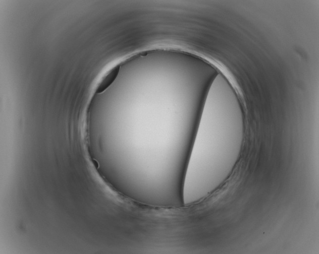 X0000115490815200911061000