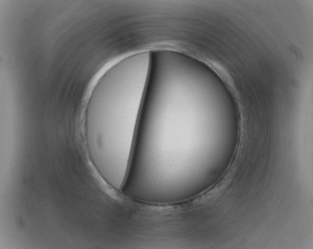 X0000115490816200911061000