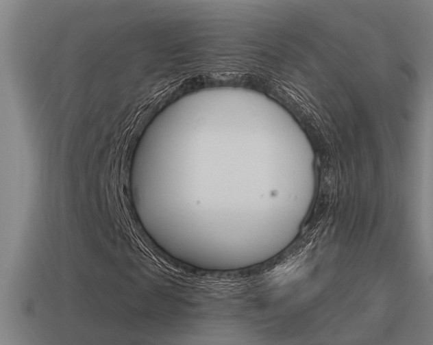 X0000115490817200911060959