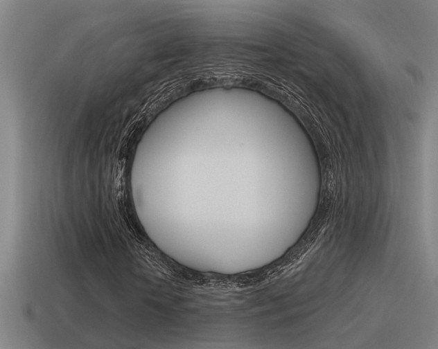 X0000115490818200911060959