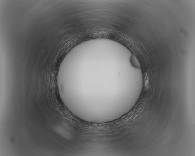 X0000115490819200911060959