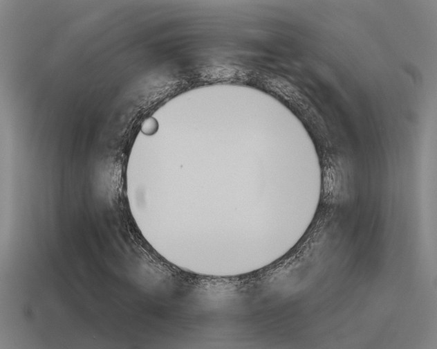 X0000115490820200911060959