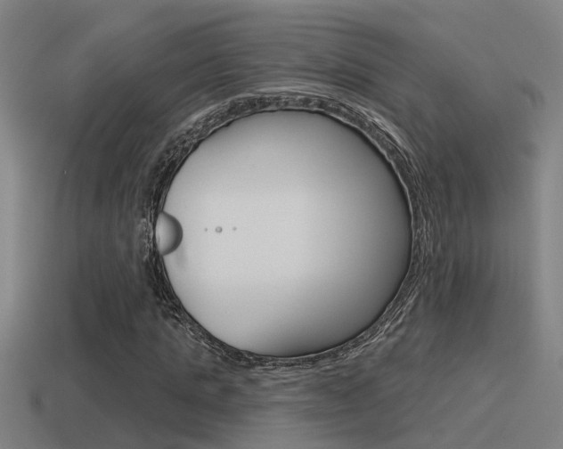 X0000115490821200911060959