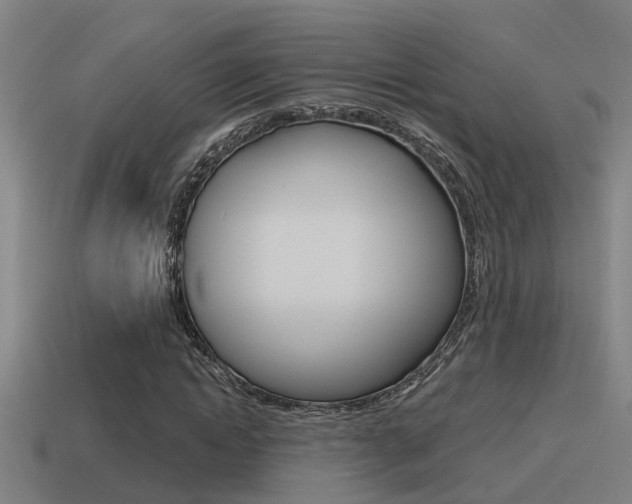 X0000115490822200911060959