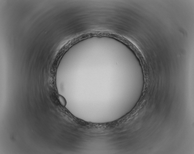 X0000115490823200911060959