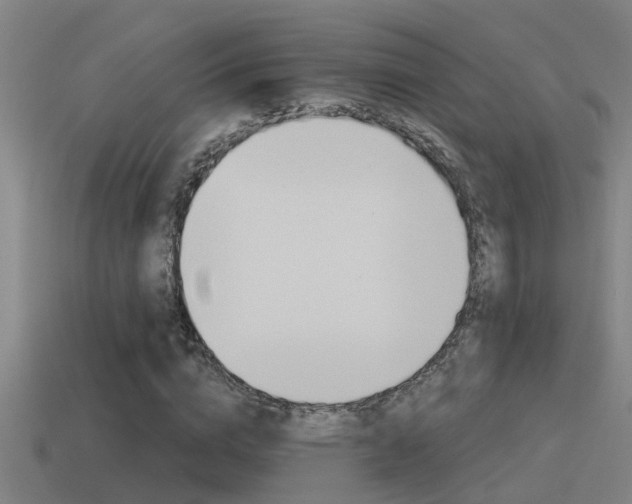 X0000115490824200911060959