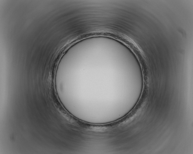 X0000115490825200911060959