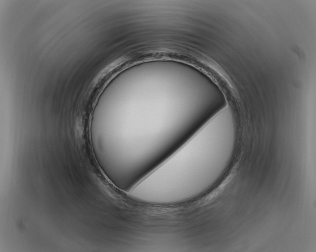X0000115490826200911061000