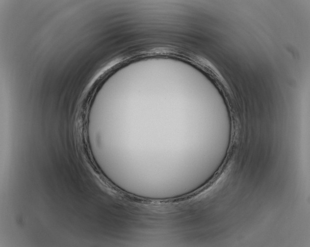 X0000115490827200911061000