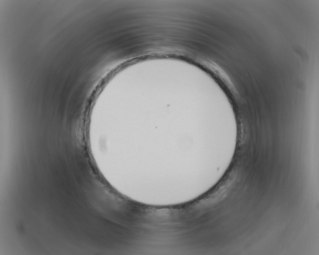 X0000115490828200911061000