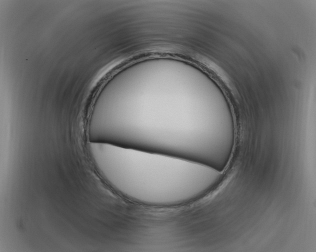 X0000115490829200911061000