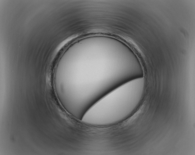 X0000115490830200911061000