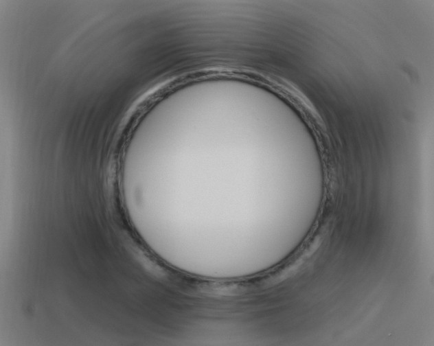 X0000115490831200911061000