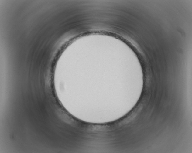 X0000115490832200911061000