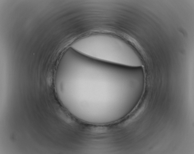 X0000115490833200911061000