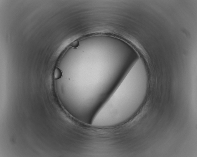 X0000115490834200911061000
