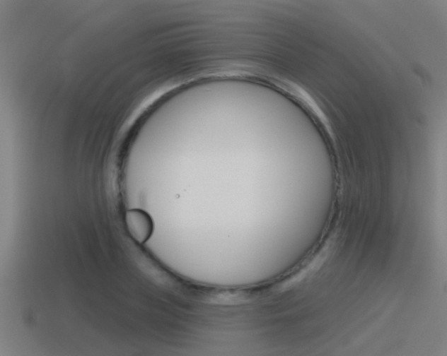 X0000115490835200911061000