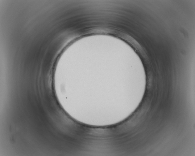 X0000115490836200911061000