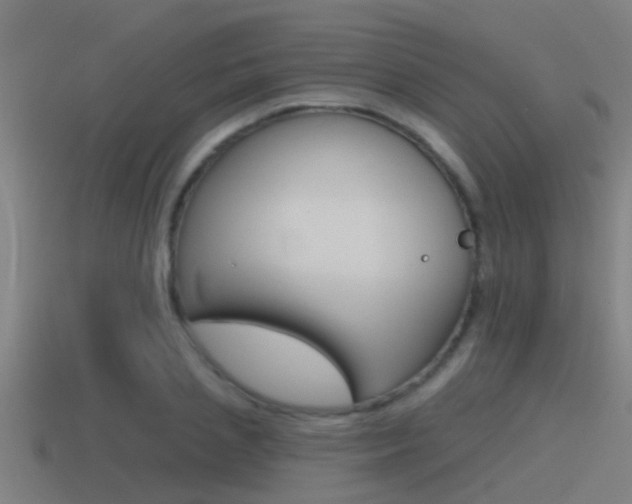 X0000115490837200911061000