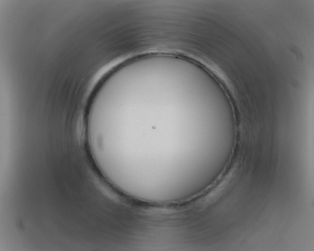 X0000115490838200911061000