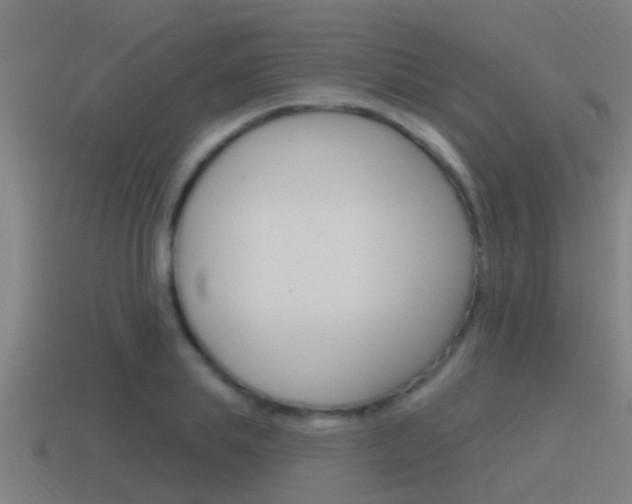 X0000115490839200911061000