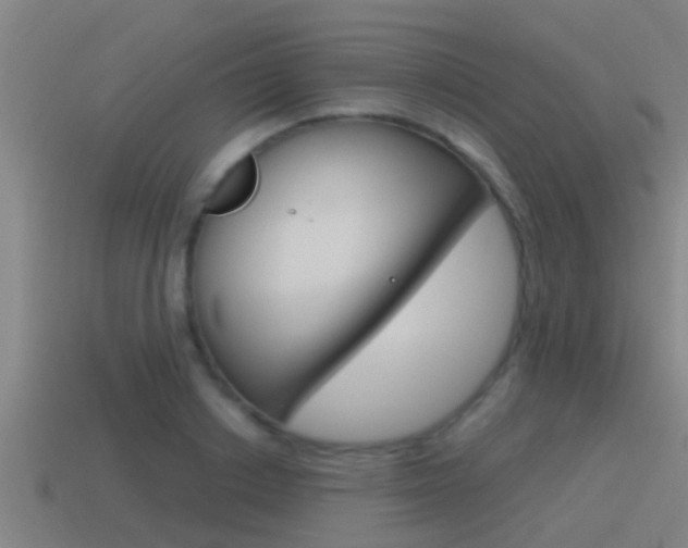 X0000115490842200911061000