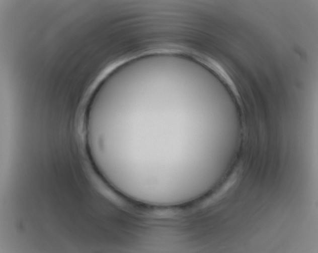 X0000115490843200911061000