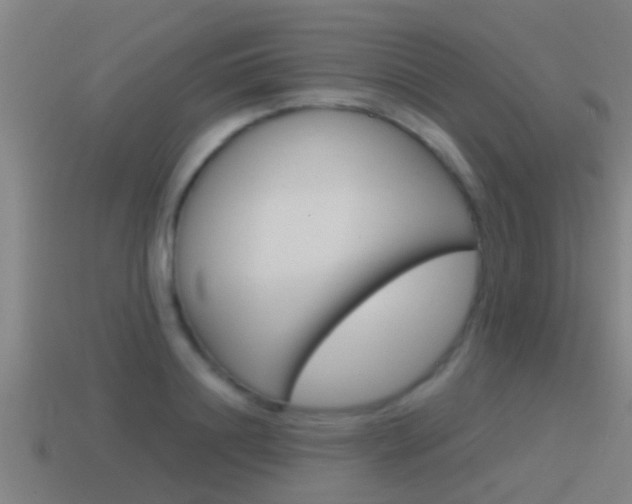 X0000115490844200911061000