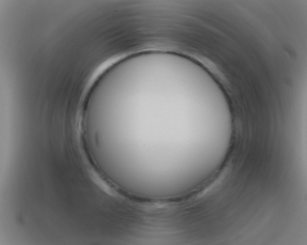 X0000115490846200911061000