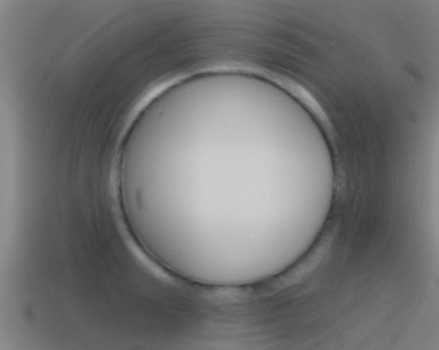 X0000115490847200911061000