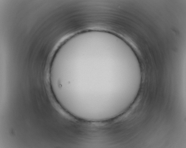 X0000115490848200911061000