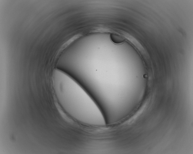 X0000115490849200911061000