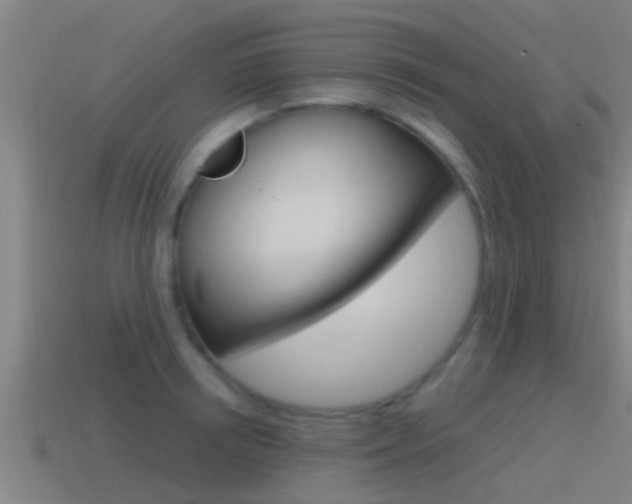 X0000115490850200911061000