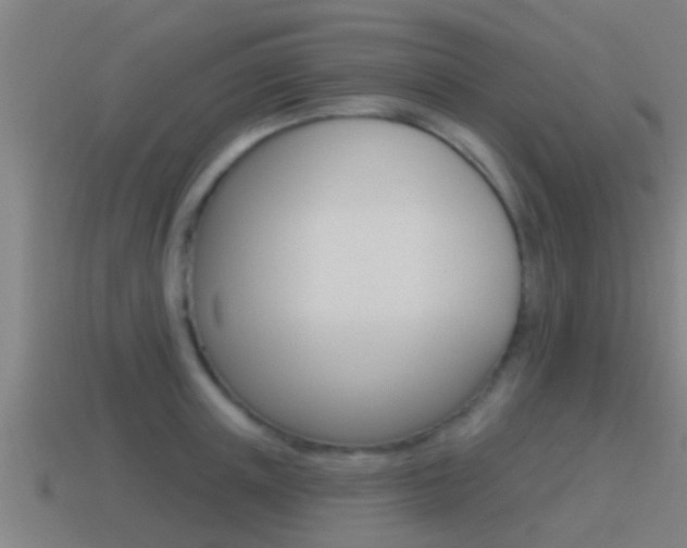 X0000115490851200911061000