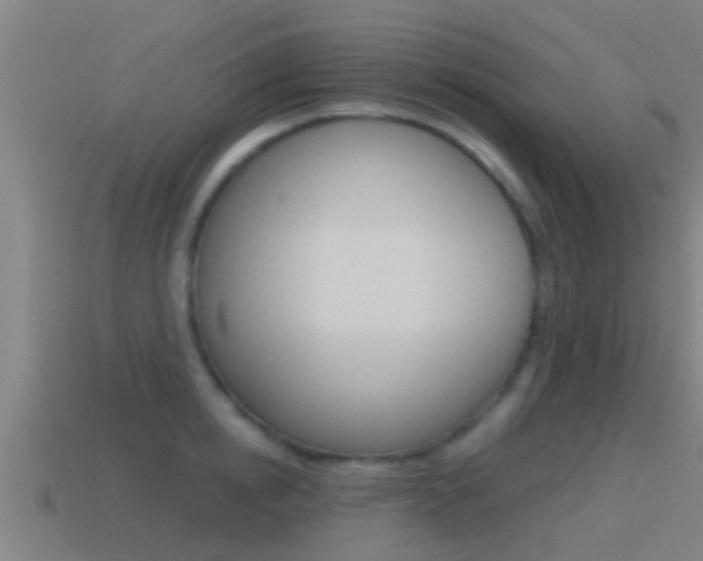 X0000115490854200911061000