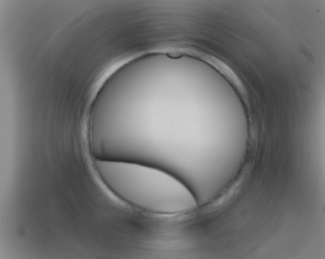 X0000115490855200911061000