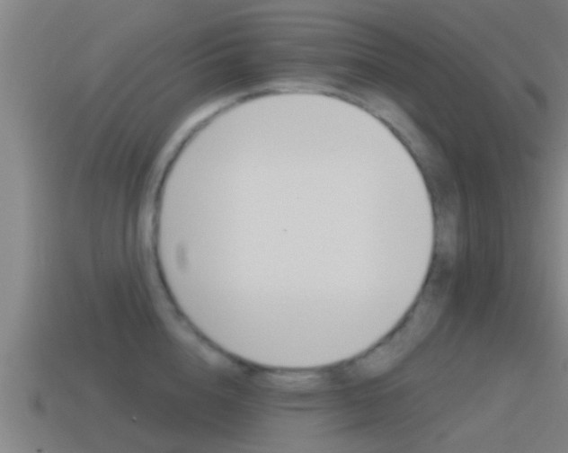 X0000115490856200911061000