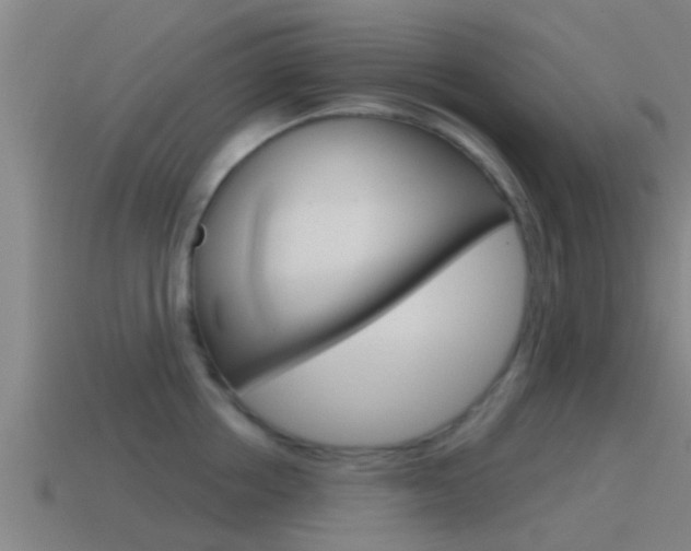 X0000115490858200911061000
