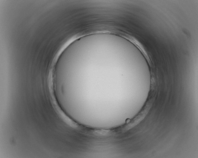 X0000115490859200911061000
