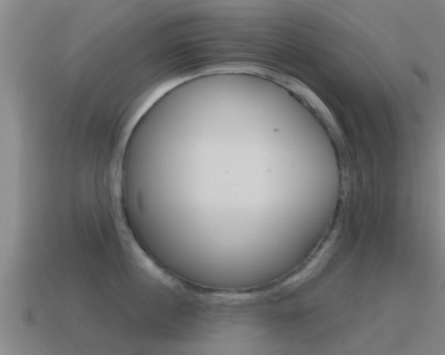 X0000115490860200911061000