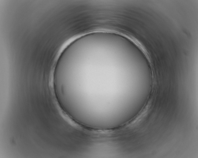 X0000115490862200911061000