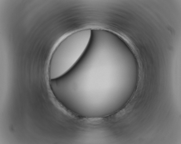 X0000115490864200911061000