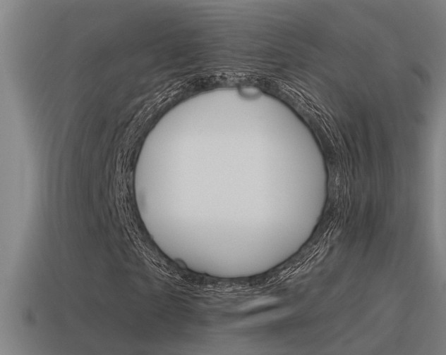 X0000115490865200911060959