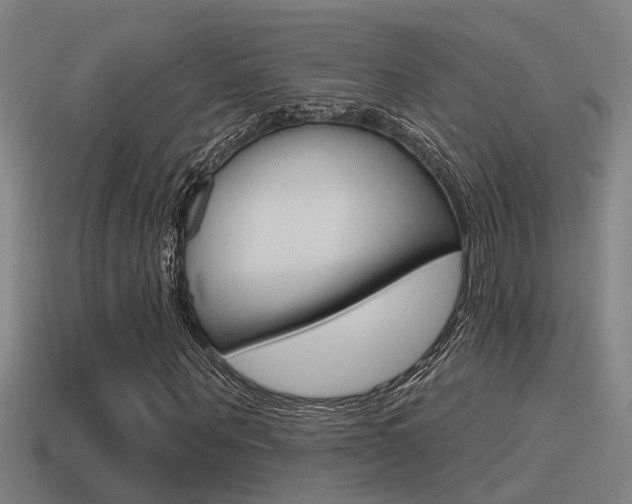 X0000115490867200911060959