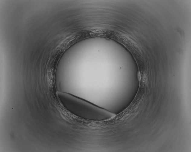 X0000115490868200911060959