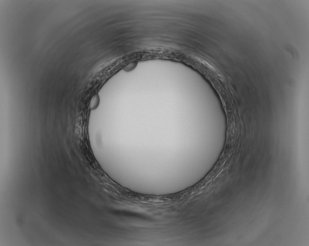 X0000115490869200911060959