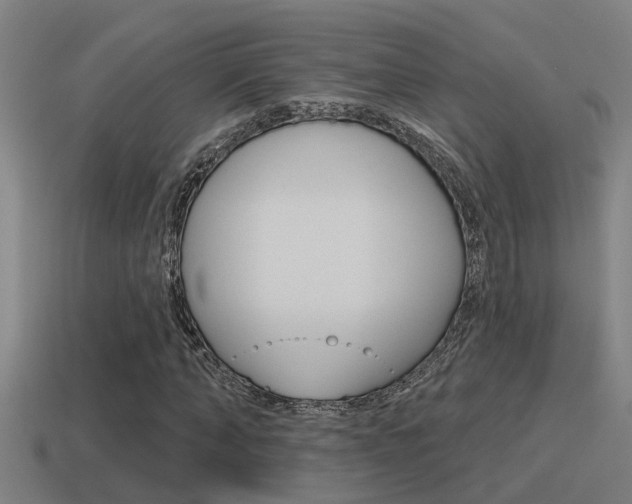 X0000115490870200911060959