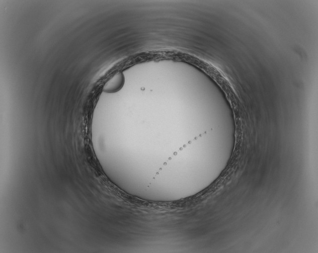 X0000115490871200911060959