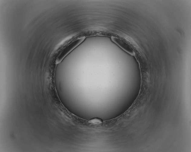 X0000115490872200911060959