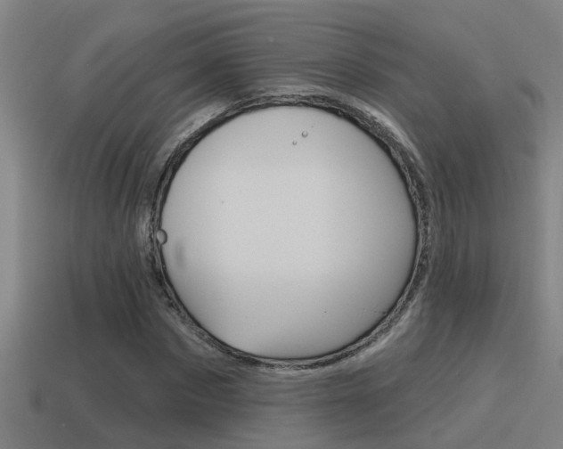 X0000115490873200911060959